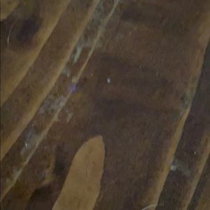 Meet your Posher, Devon